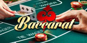 ảnh đại diện baccarat